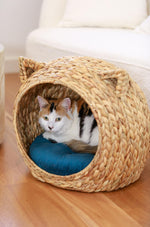 BUMI Ear-Head Pet House