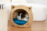 BUMI Ear-Head Pet House