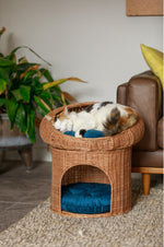 BUMI Dual-Level Rattan Pet Tower