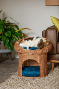 BUMI Dual-Level Rattan Pet Tower