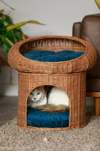 BUMI Dual-Level Rattan Pet Tower
