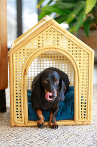 BUMI Cosy Rattan Hideaway