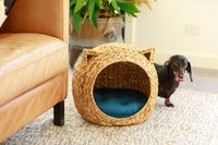 BUMI Ear-Head Pet House