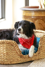 BUMI Luxe Elevated Pet Bed