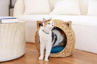 BUMI Ear-Head Pet House