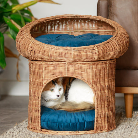 BUMI Dual-Level Rattan Pet Tower